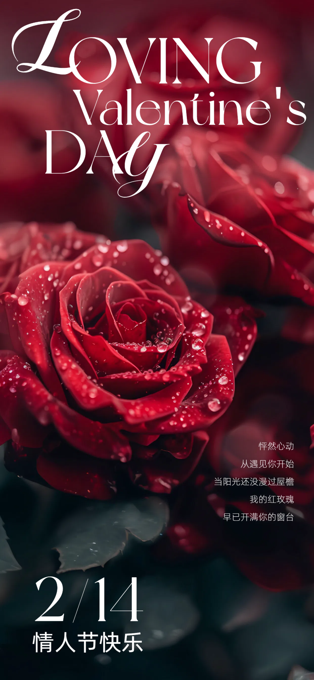 情人节精选 24 - 4K壁纸 - 饭饭壁纸